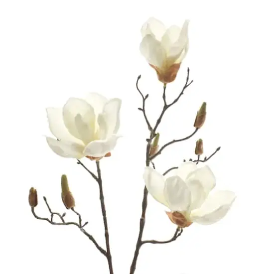 White Magnolia Branch Stem by Ashland&reg; {5}
