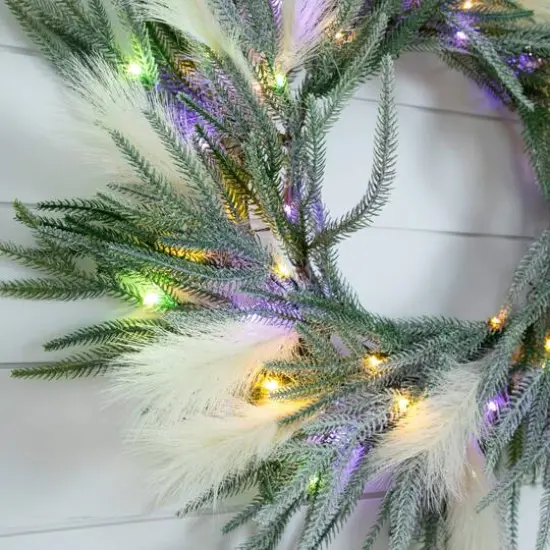 24in. Artificial Balsam Fir Pine and Pampas Wreath with 50 Color Changing LED Lights {7}
