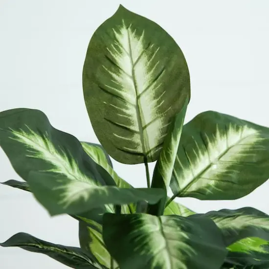 20" Artificial Golden Dieffenbachia Plant, 6ct. {5}