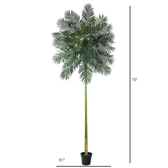 10ft. Potted Golden Cane Palm Tree {3}