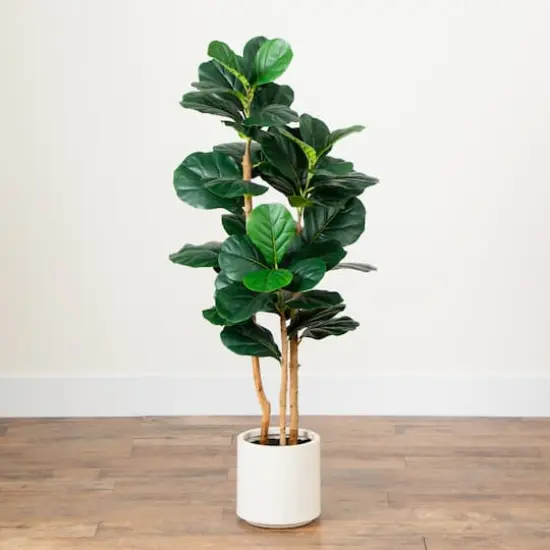 4ft. Fiddle Leaf Tree in Decorative White Planter {4}