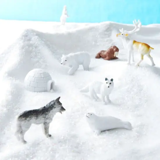 Safari Ltd&reg; TOOBS&reg; Arctic {3}