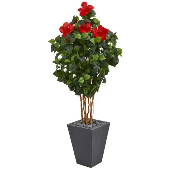 5ft. Hibiscus Tree in Slate Planter {1}