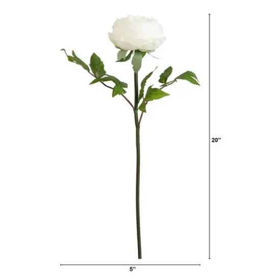 20" White Peony Flower Stems, 3ct. {7}