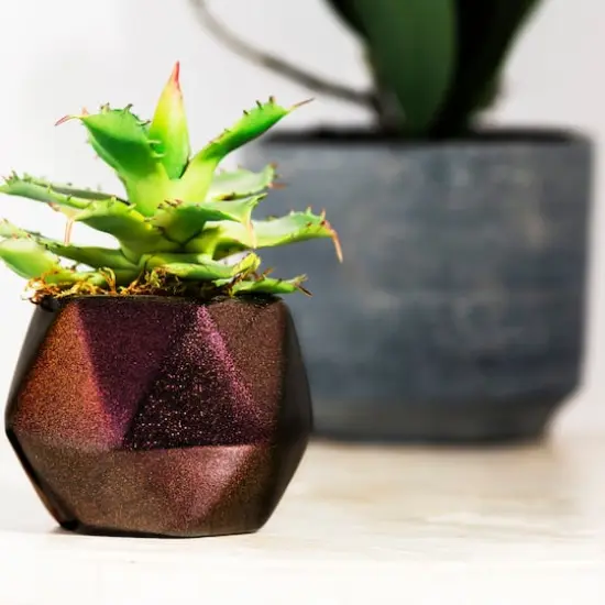 Rust-Oleum&reg; Color Shift Spray Paint Pink Champagne {6}