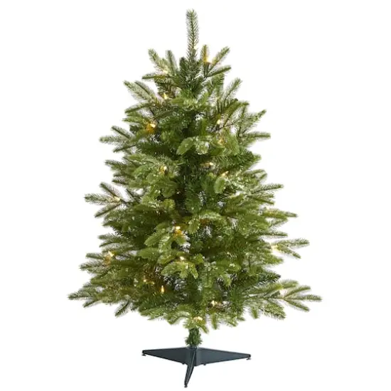 3ft. Pre-Lit Grand Teton Fir Artificial Christmas Tree, Clear LED Lights {1}
