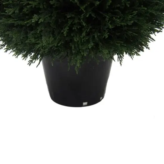 2ft. Potted Green Cedar Ball {6}