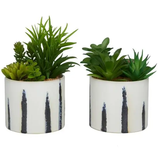 Green Faux Foliage Succulent in Patterned Porcelain Pot Set {6}