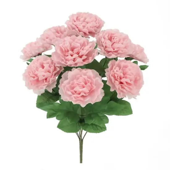 18" Pink Carnation Bush by Ashland&reg; {1}