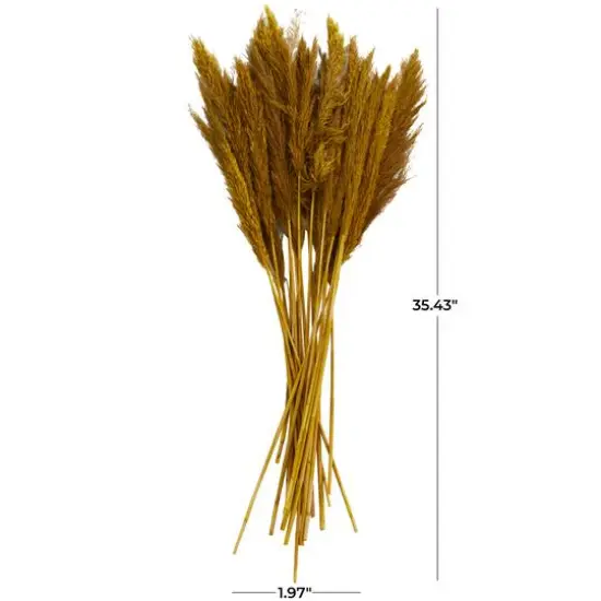 Dried Plant Bamboo Natural Foliage with Long Stems Yellow {8}