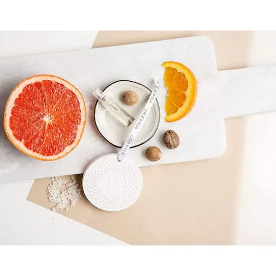 European Soaps Ceramic Stone Diffuser & FragranceCitrus and Seed {9}