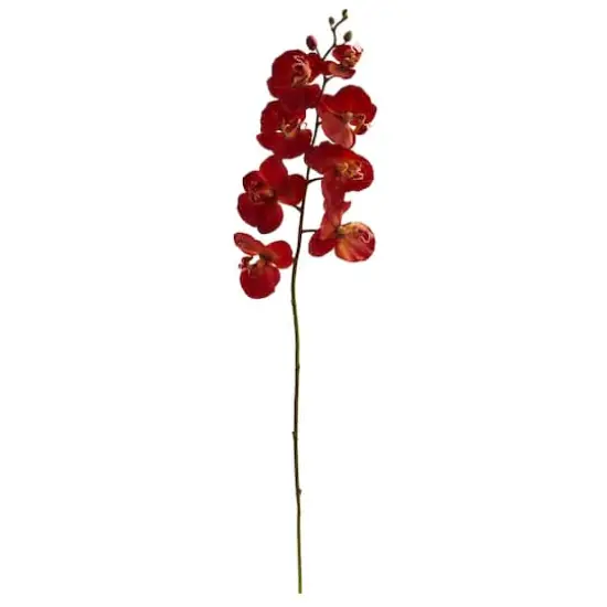 Red Autumn Moth Orchid Flower Stems, 6ct. {1}