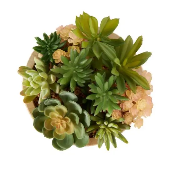 7" Succulent Artificial Plant with Natural Pot {8}