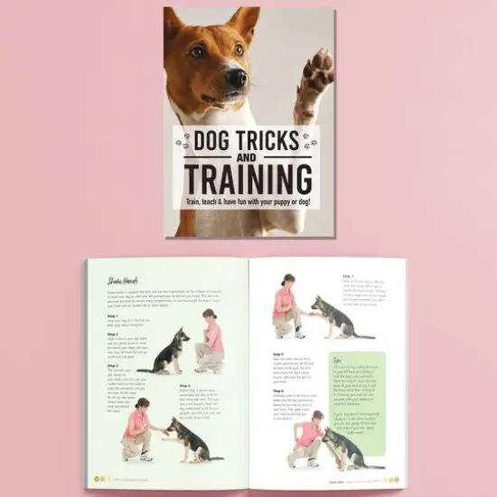 Hinkler Dog Pet Care Tricks & Training Box Set {5}