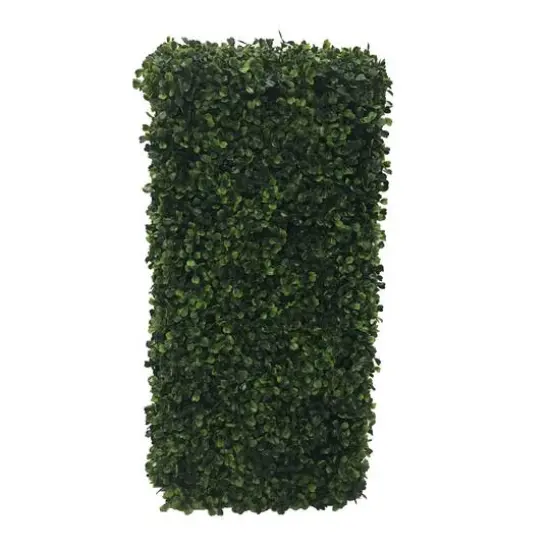 2ft. Boxwood Hedge {8}