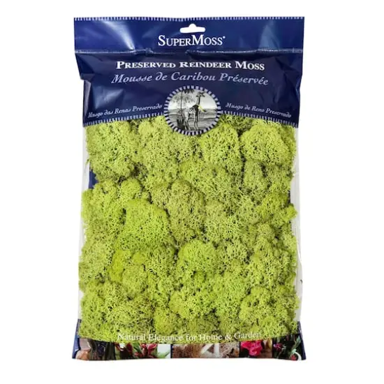 SuperMoss&reg; Preserved Reindeer Moss, 8oz. {1}