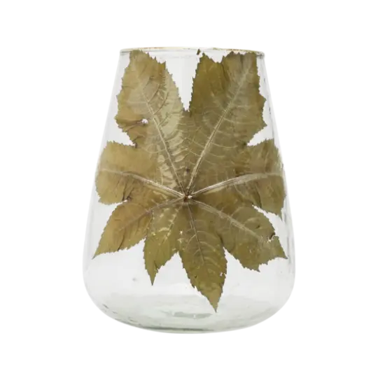 Hello Honey&reg; 10" Embedded Papaya Leaves & Foil Edge Handblown Glass Hurricane {5}