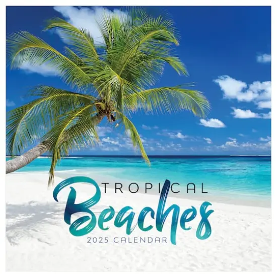 TF Publishing 2025 Tropical Beaches Wall Calendar {1}