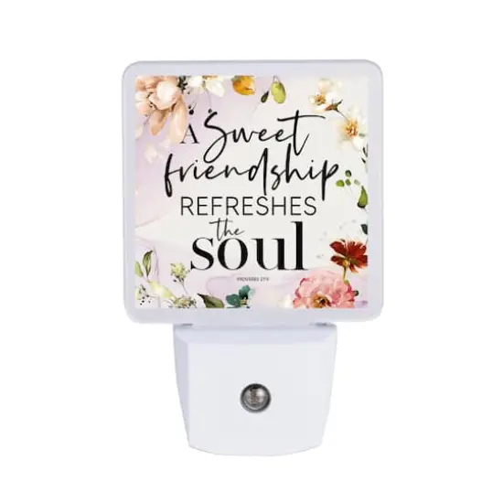 A Sweet Friendship LED Night Light {1}