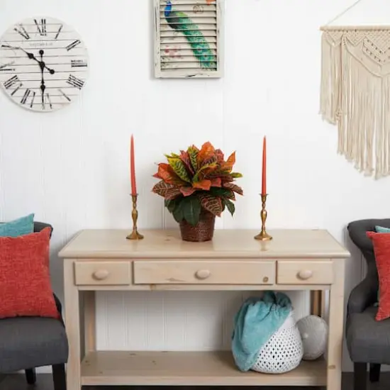 17" Garden Croton Plant in Basket {4}