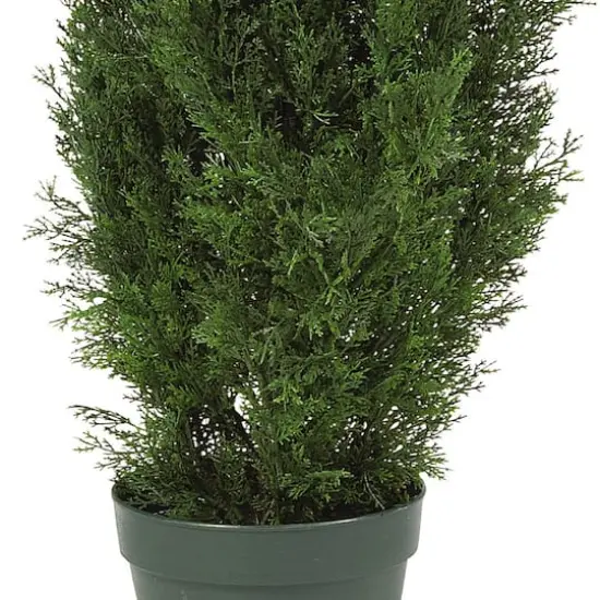 4ft. Potted Cedar Pine Tree {4}