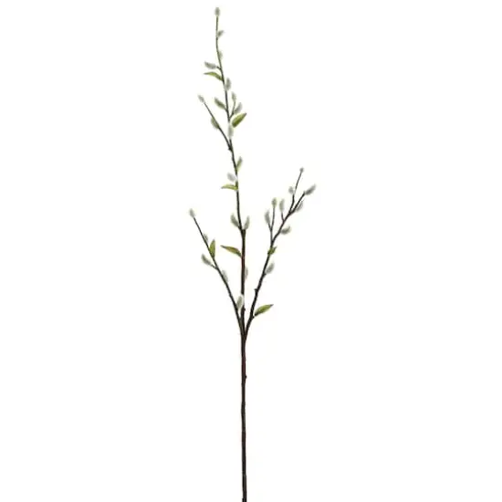 White & Green Pussy Willow Stem {1}