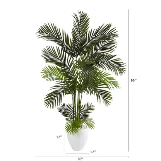 5.5ft. Areca Palm Tree in White Planter {3}