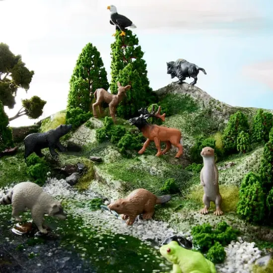 Safari Ltd&reg; Toob&reg; In the Woods {3}