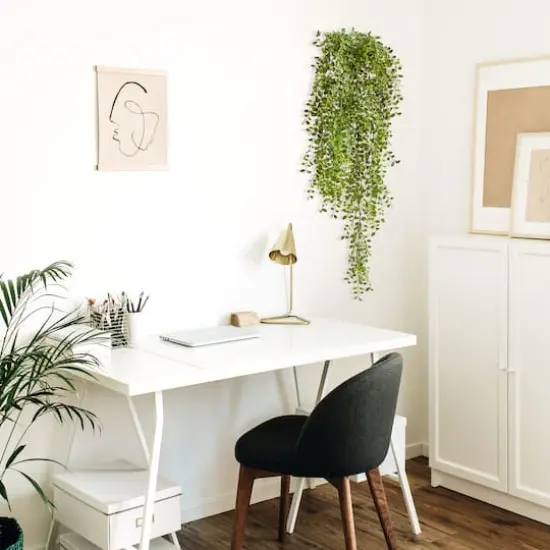 3ft. Potted Honey Locust Bush Plant, 2ct. {4}