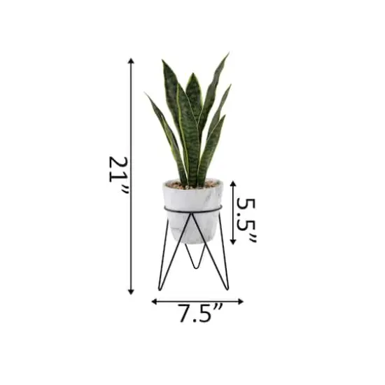 Flora Bunda&reg; 1.75ft. Snake Plant In Marble On Metal Stand {3}
