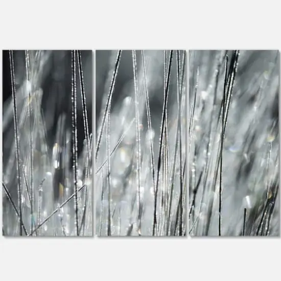 Designart - Raindrops on Grass Black White - Oversized Landscape Canvas Art {1}