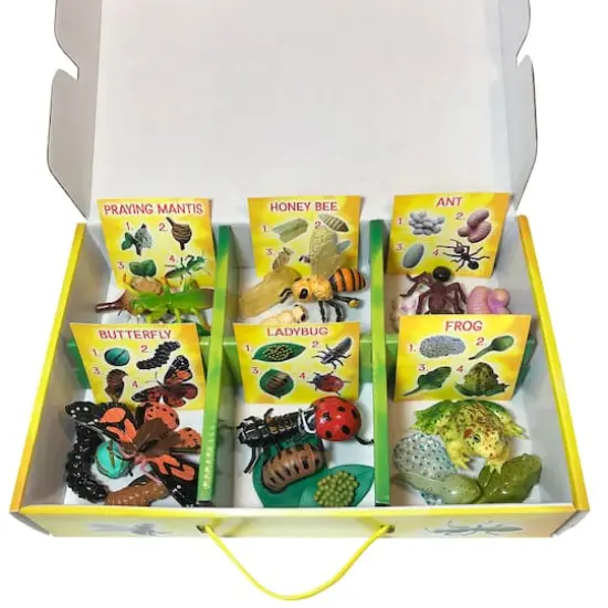 Insect Lore Life Cycle Figurine 24 Piece Set {3}