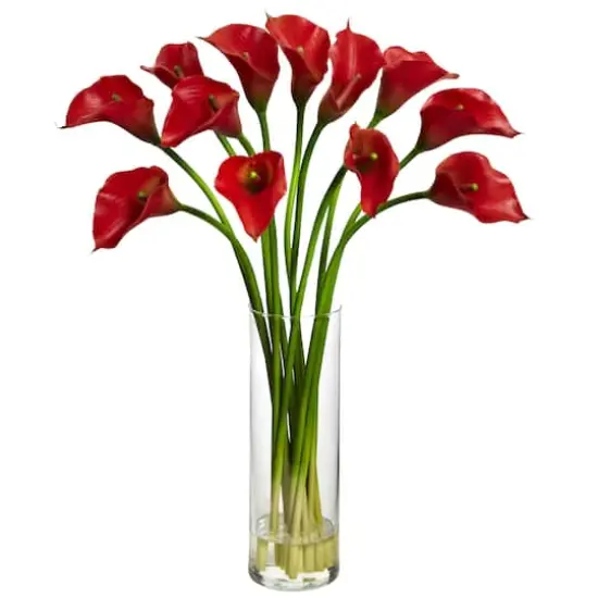 20" Mini Calla Lily Arrangement in Tall Vase, Red {1}