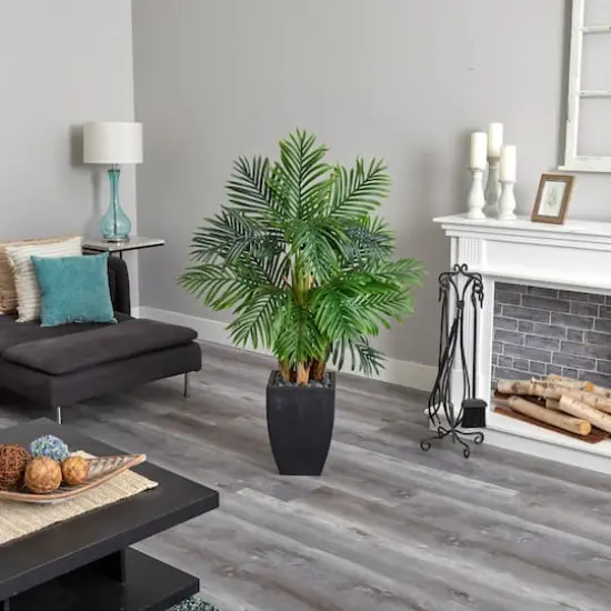 5ft. Kentia Palm Tree in Black Planter {4}