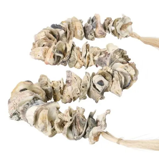 Hello Honey&reg; 4ft. Oyster Shell Garland with Raffia Tassels {4}