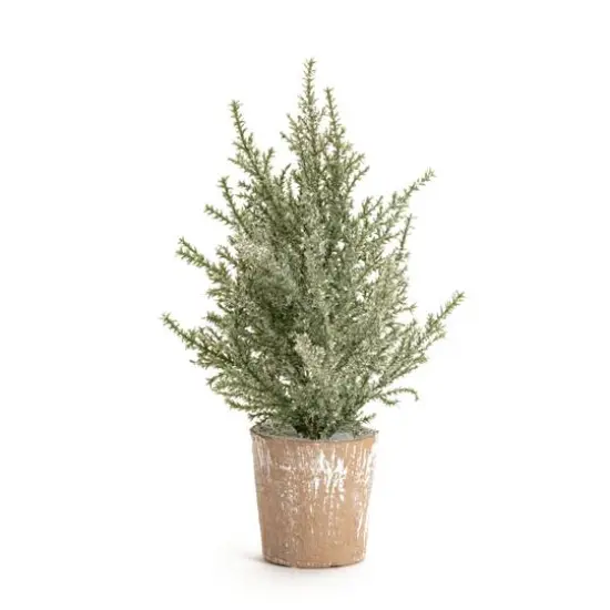 6 Pack 12" Unlit Icy Pine Artificial Potted Christmas Tree Set {3}