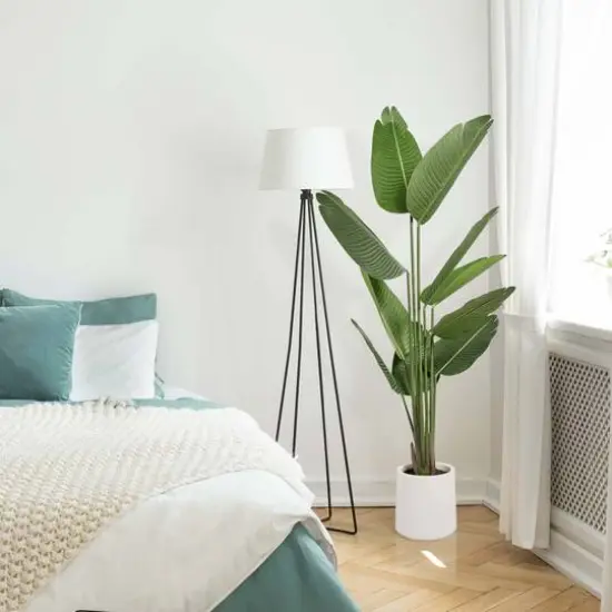 American Art Decor 5ft. Realistic Artificial Palm Tree in White Pot {8}