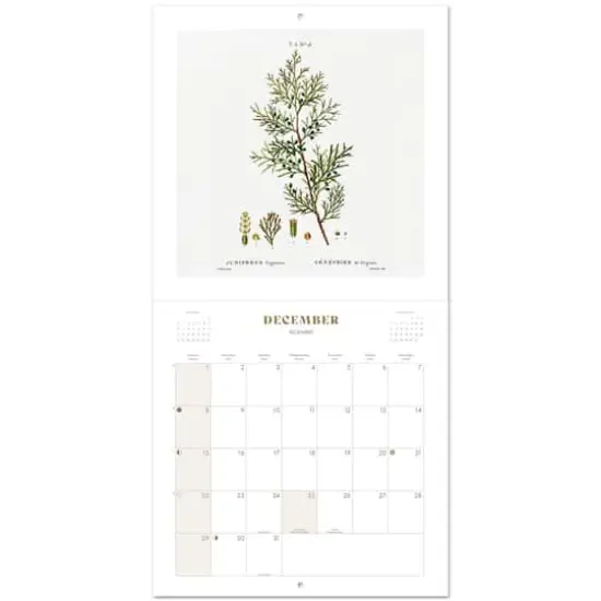TF Publishing 2024 Botany Bilingual Wall Calendar {4}