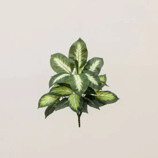 20" Artificial Golden Dieffenbachia Plant, 6ct. {7}