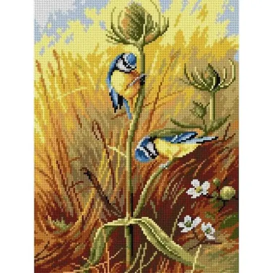 Orchidea Archibal Thornburn Blue Tits On A Teasel Gobelin Canvas For Halfstitch Without Yarn {1}