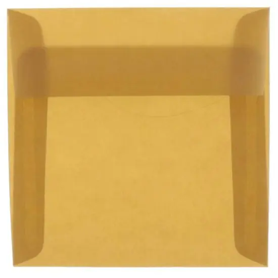 JAM Paper 6" x 6" Translucent Vellum Invitation Envelopes, 25ct. Earth Brown {1}