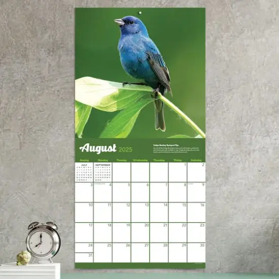 TF Publishing 2025 Backyard Birds Wall Calendar {4}