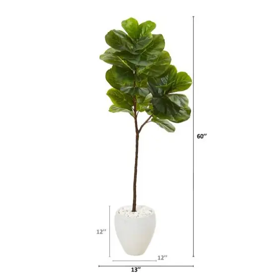 5ft. Fiddle Leaf Tree in White Planter {3}