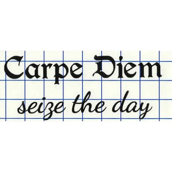 Leisure Arts&reg; Vinyl Carpe Diem Seize The Day Black Wall Decal {1}