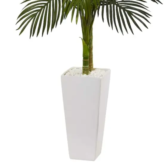 5ft. Potted Golden Cane Palm Tree in Decorative Planter {4}