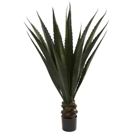 4.5ft. Potted Giant Agave Plant {1}