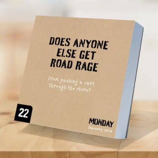 TF Publishing 2024 Anti Affirmations/Daily Sarcasm Daily Desktop Calendar {5}