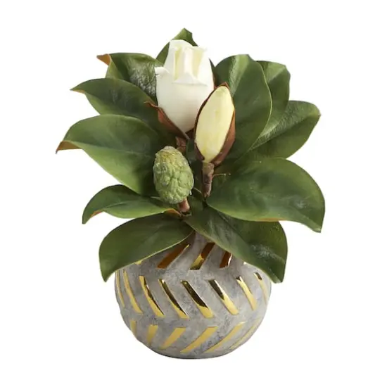 12in. Magnolia in Planter with Gold Trim {1}