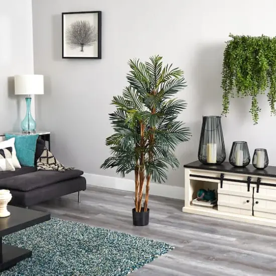 5ft. Potted Robellini Palm Tree {7}