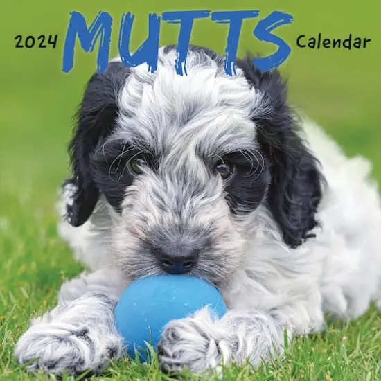 TF Publishing 2024 Mutts Wall Calendar {1}